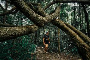 BIB: 
                            <button type="button" onclick="openModal(25664671)" class="btn btn-primary btn-sm float-right btn-popup" data-toggle="modal" data-target=".modal-high-quality">
                        <i class="fas fa-shopping-cart"></i> Add to Cart
                    </button>
                                            <button type="button" onclick="isThisMe(25664671, true)" class="btn btn-success btn-sm float-right btn-popup btn-isme hidden" data-toggle="tooltip" data-placement="bottom" title="นี่คือรูปของคุณใช่ไหม คลิกที่นี่เพื่อเอาเข้าอัลบั้ม">
                        <i class="fas fa-plus"></i> Add to album
                    </button>
                    <button type="button" onclick="isThisMe(25664671, false)" class="btn btn-warning btn-sm float-right btn-popup btn-isnotme hidden">
                        <i class="fas fa-ban"></i> Remove from album
                    </button>